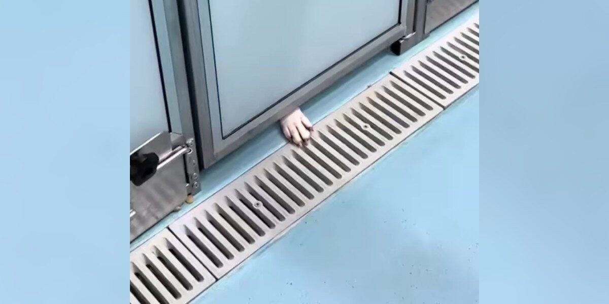 Ellie Reaches One Small Paw Beneath Her Kennel Door, Hoping Love Will Reach Back