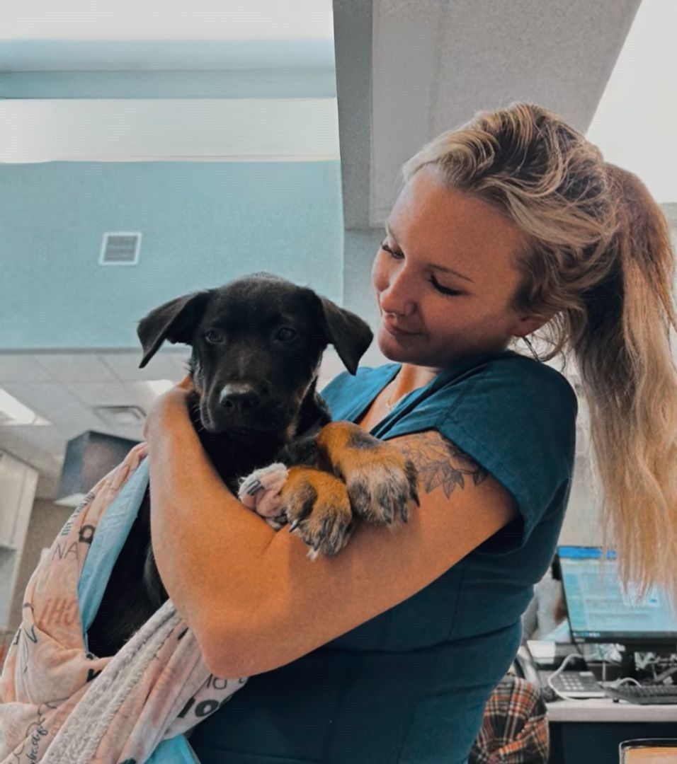 A 12-Week-Old Puppy Was Out Of Options, Until One Nurse Saw The Life Still Waiting For Him - photo 1