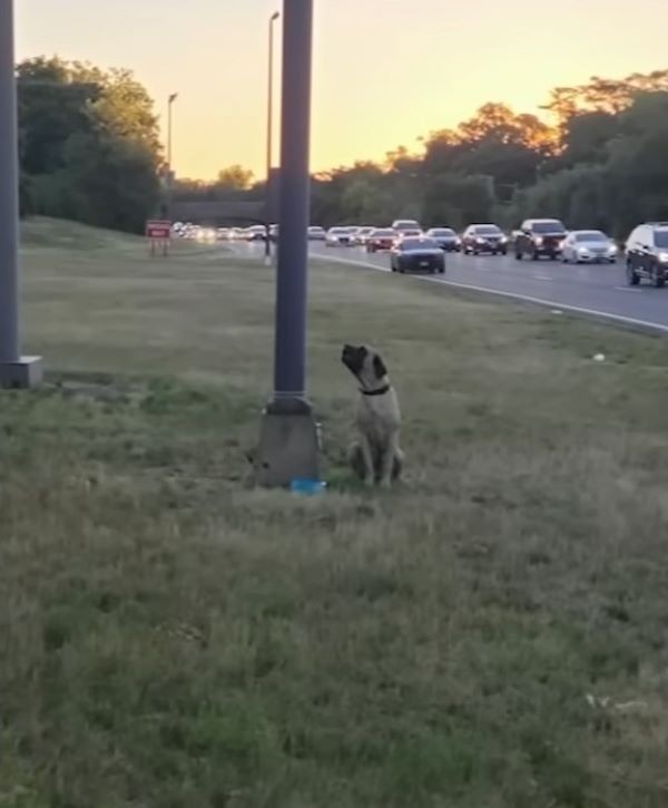 Roxi Cried by the Highway Until Love Chose to Stay - photo 1
