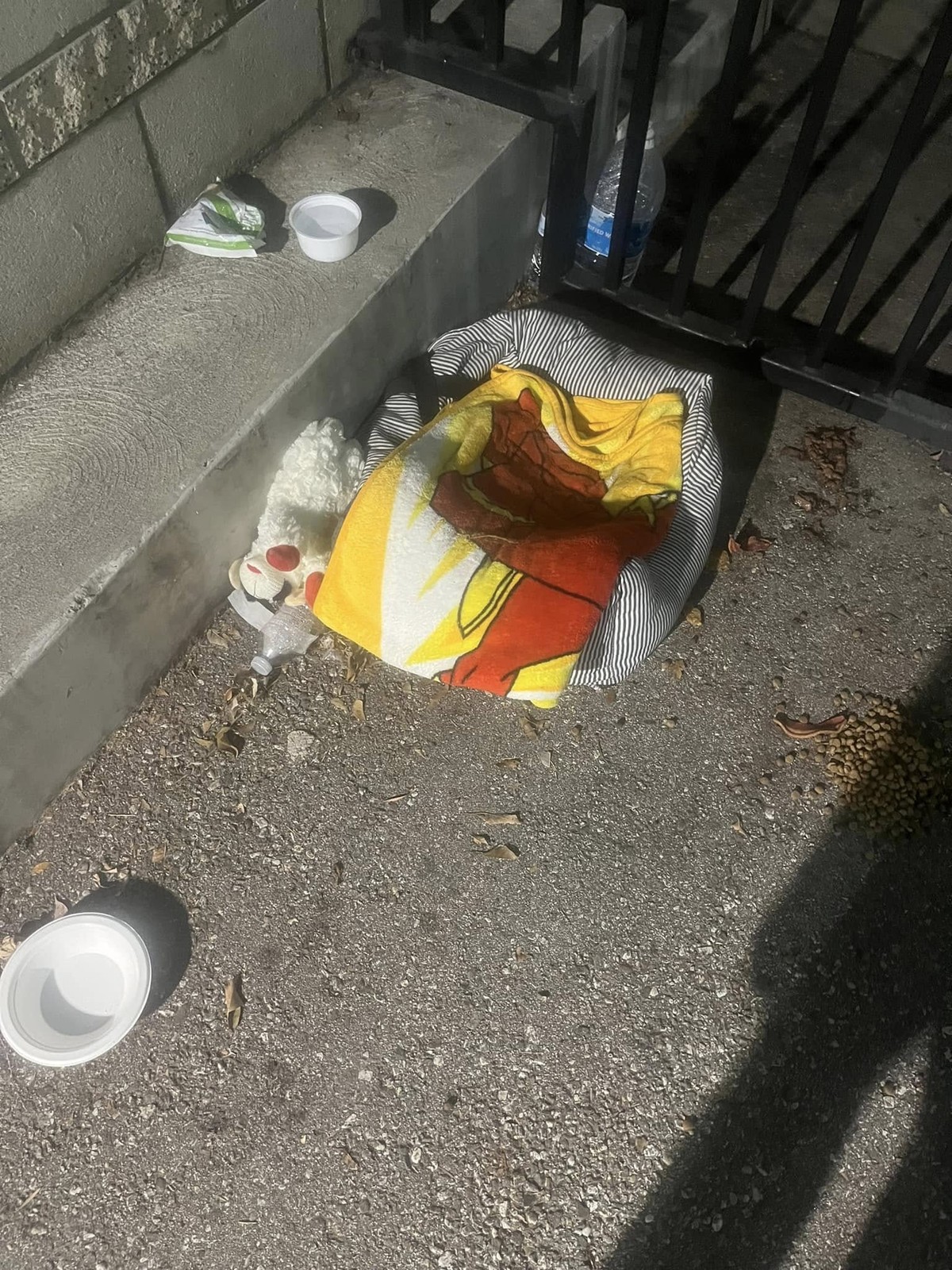 The Little Dog Who Hid Between Cars Until Love Refused to Leave - photo 1