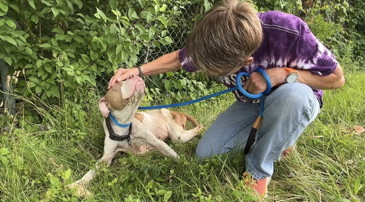 Too Weak to Stand, Miley Still Lifted Her Face to Kiss the Woman Who Saved Her - photo 2