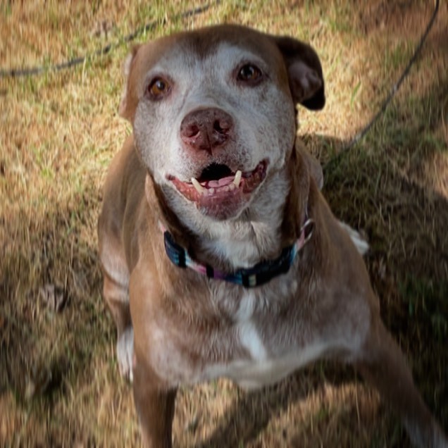 Ten Quiet Years Passed Before Love Finally Stayed For Ginger - photo 2