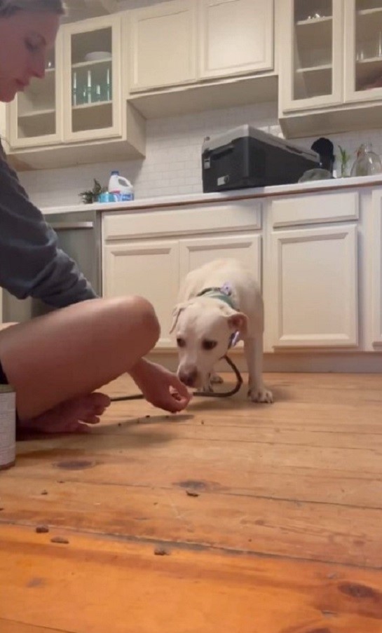 Mable Once Shook at Every Touch, but Patient Love Helped Her Feel Safe - photo 2