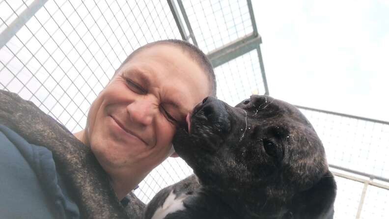 For 775 Days, Bob Watched Other Dogs Go Home Without Him - photo 3