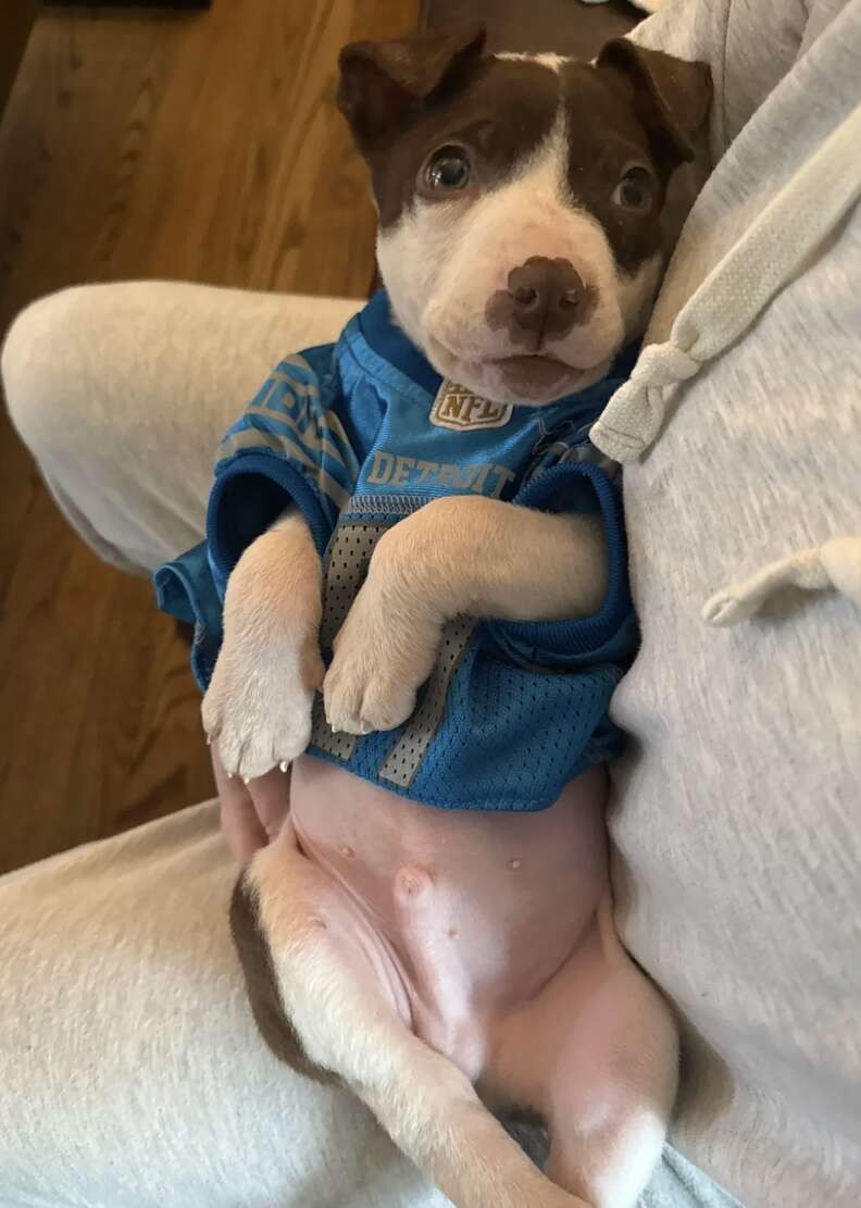 A Tiny Puppy Ate Trash to Survive, Until Love Gave Him a Home - photo 4