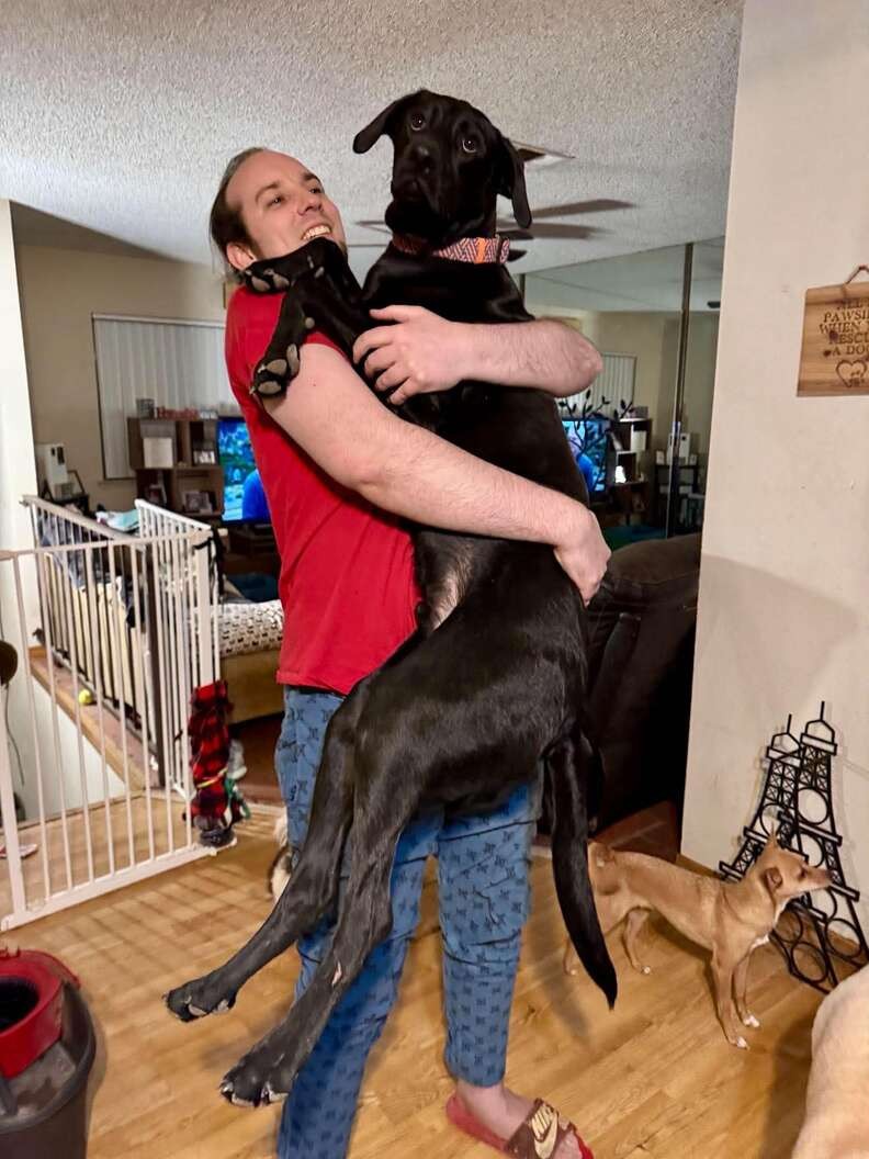 The “Little Lab” Kept Growing — Then His DNA Revealed A Rare Surprise - photo 4