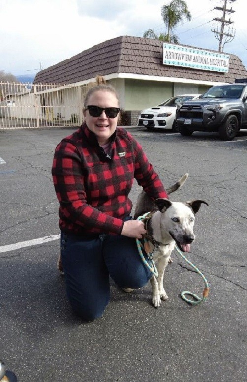 Frightened Dog With A Sweatshirt Around Her Neck Finds The Gentle Hands She Needed - photo 4
