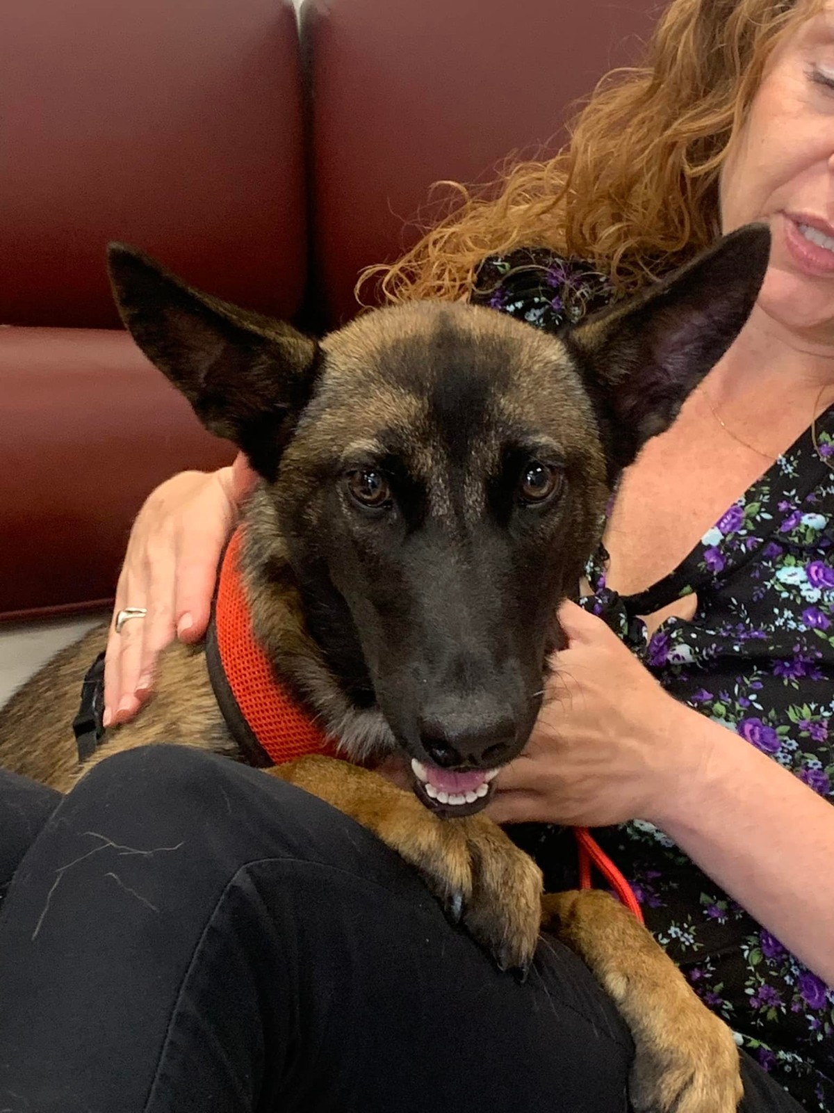 For Three Days, She Mistook a Frightened Puppy for a Coyote on the Hill - photo 4