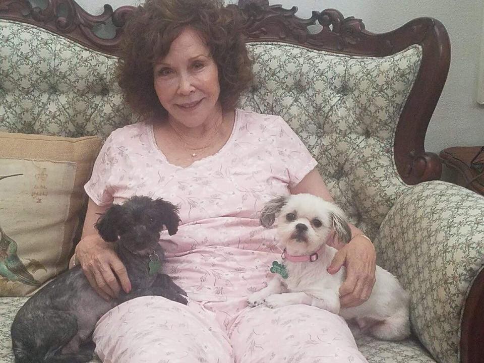 Three Little Dogs Hid in a Tire Until Kindness Stopped - photo 5