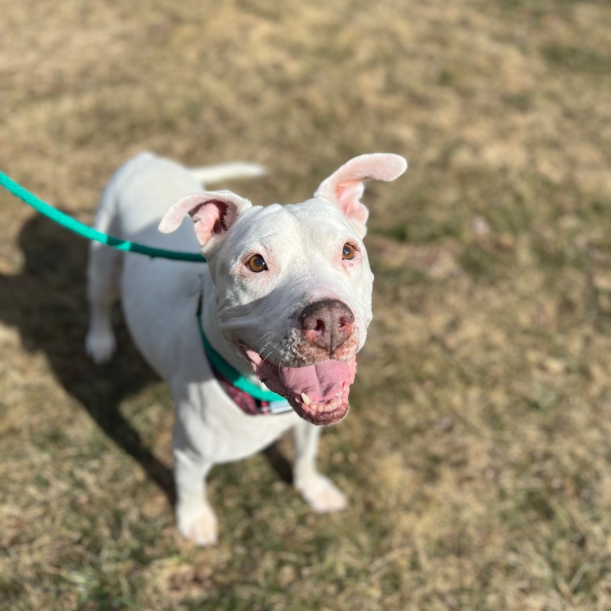 After 650 Days of Waiting, Chiquitita Thought She Was Finally Home - photo 4