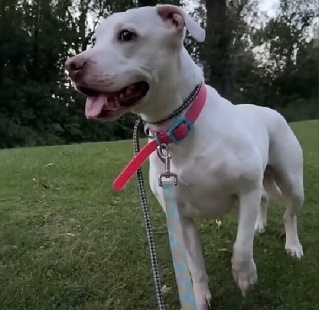 Mable Once Shook at Every Touch, but Patient Love Helped Her Feel Safe - photo 6